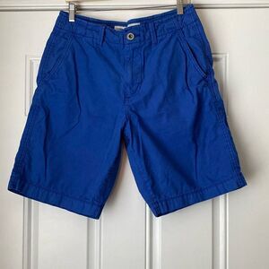 American Eagle AE Blue Shorts Size 32